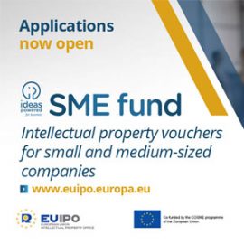 SME Fund ‘The Ideas Powered for Business’