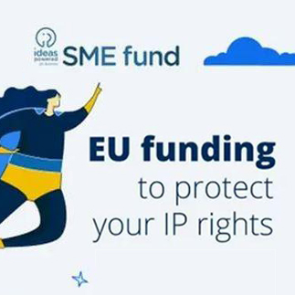 EU SME Fund - IP Scan